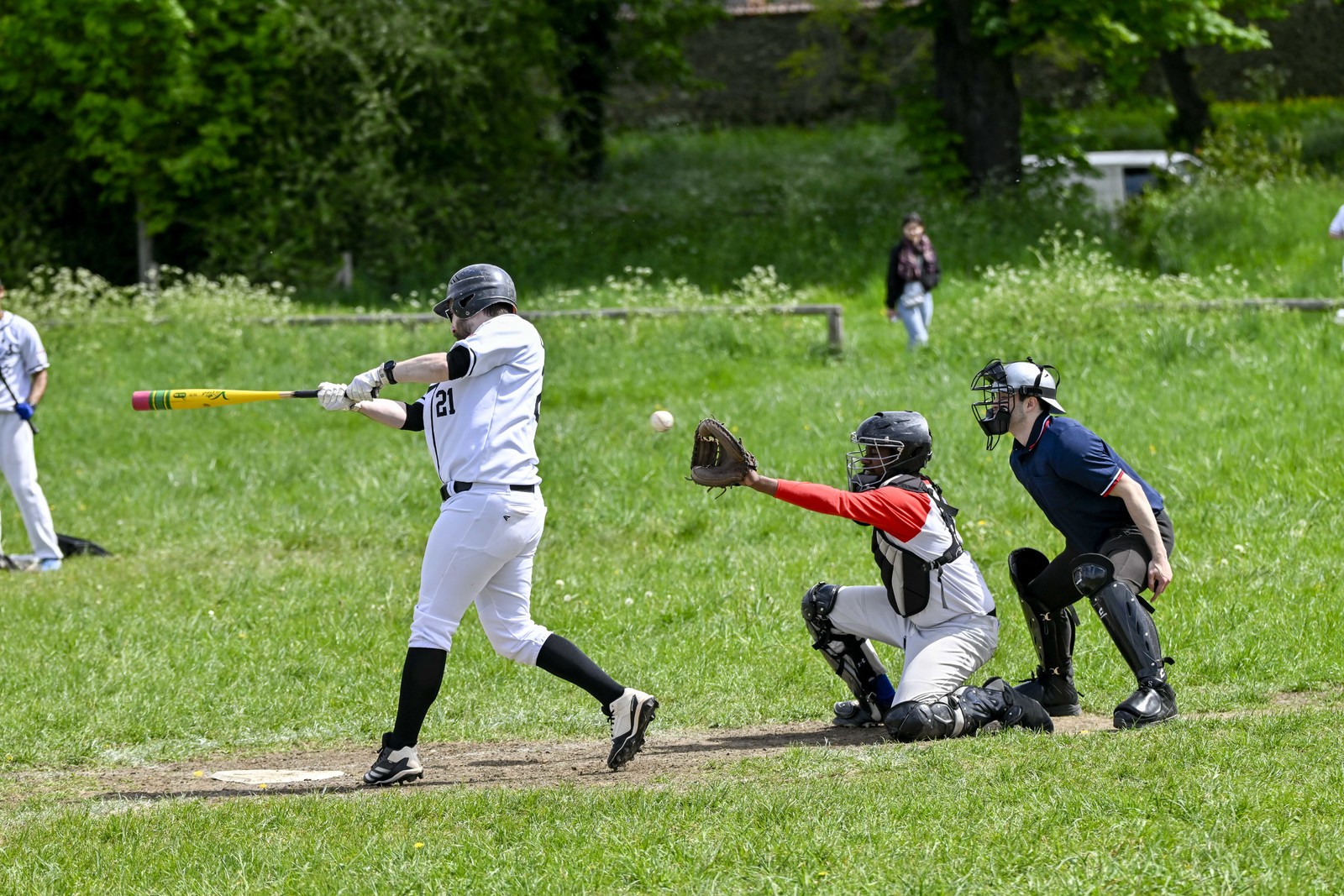 photo de sport base ball