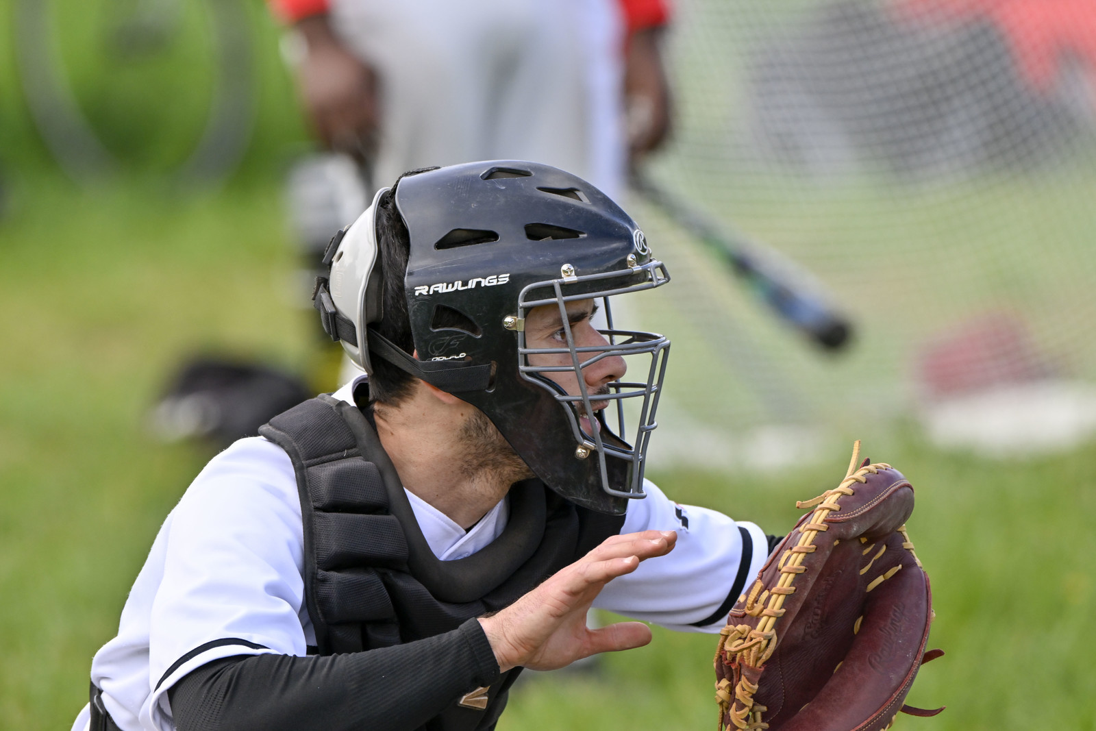photo de sport base ball