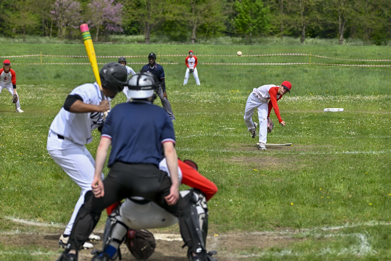 photo de sport base ball