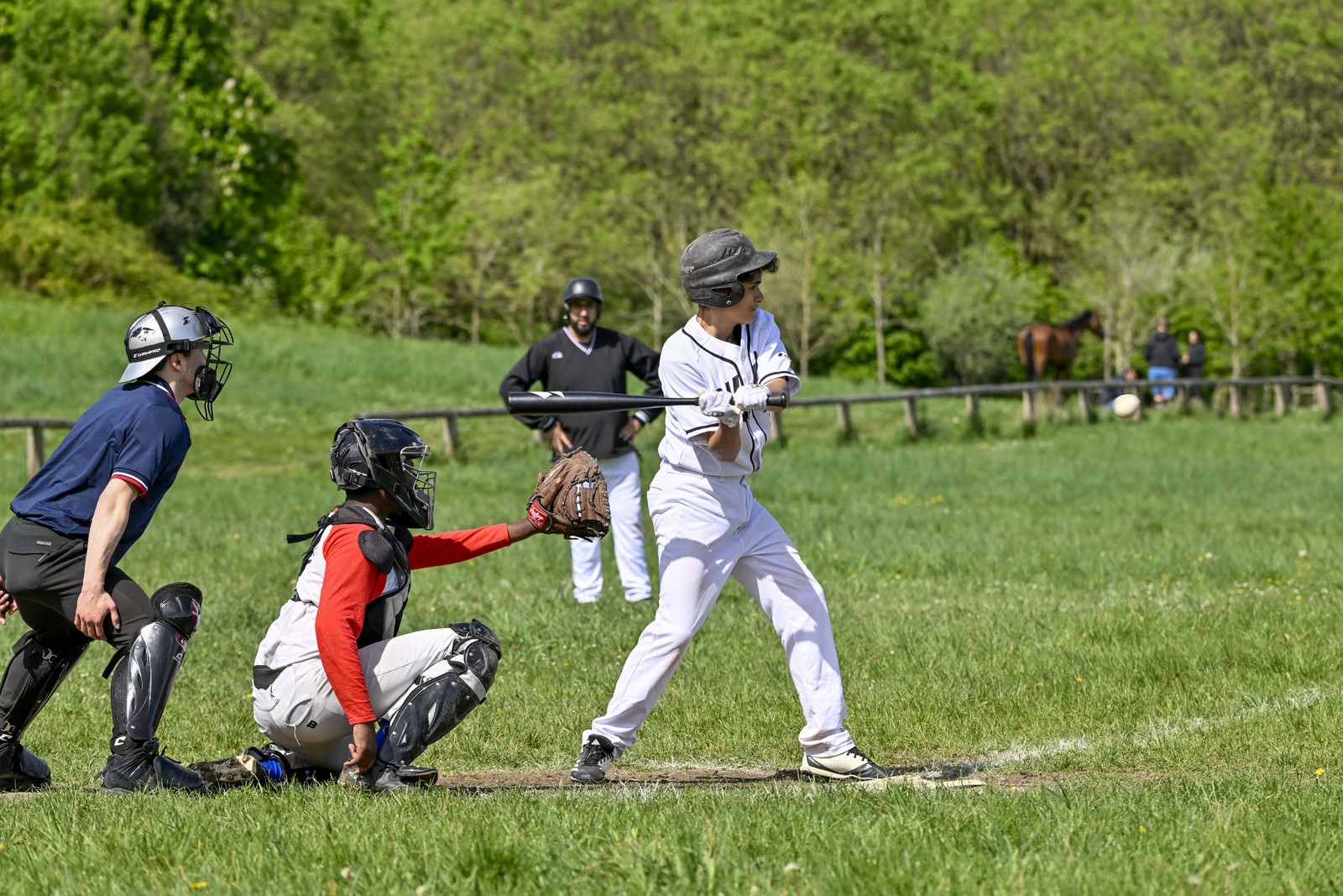 photo de sport base ball