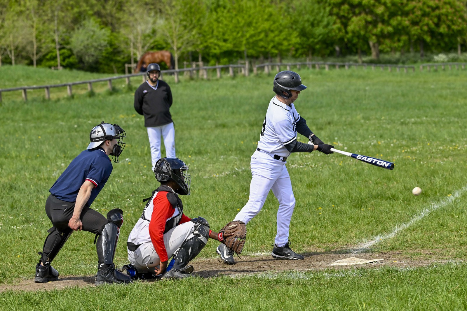photo de sport base ball