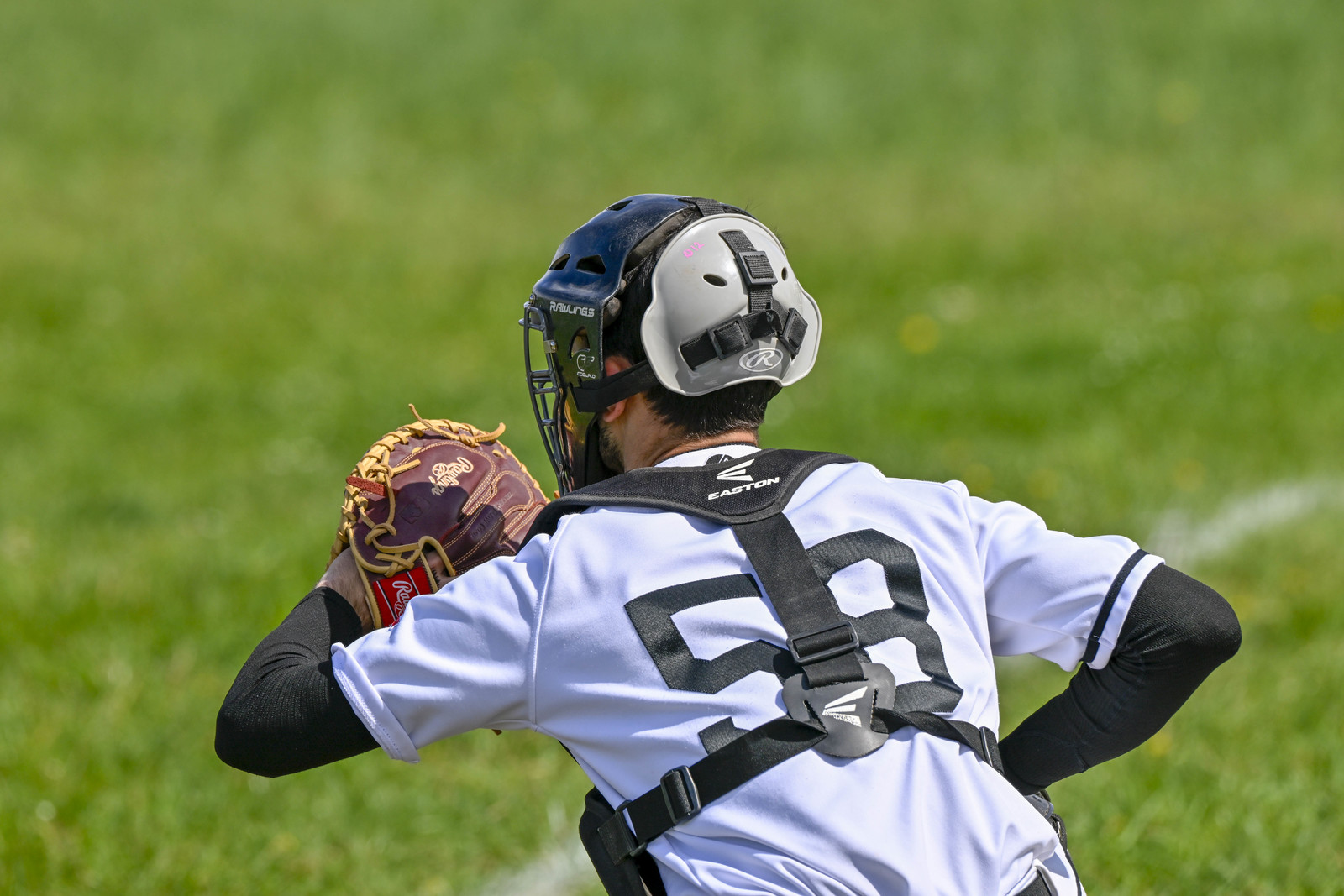 photo de sport base ball