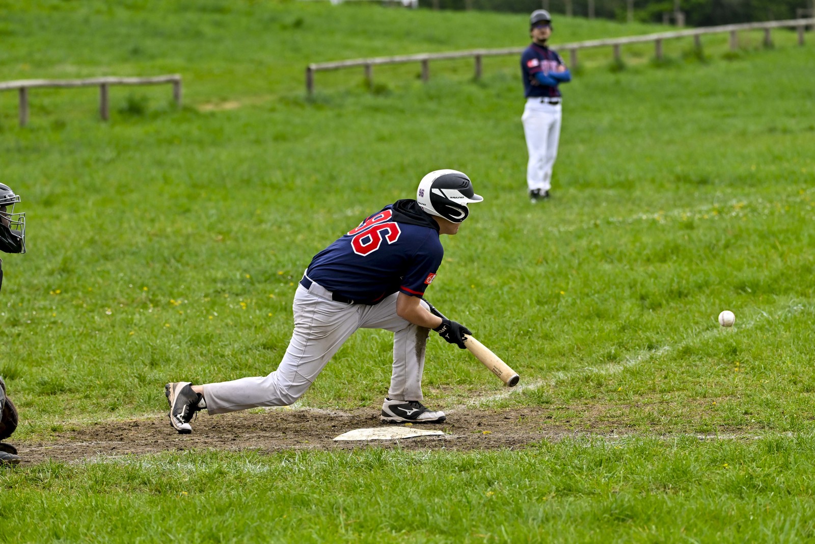 photo base ball