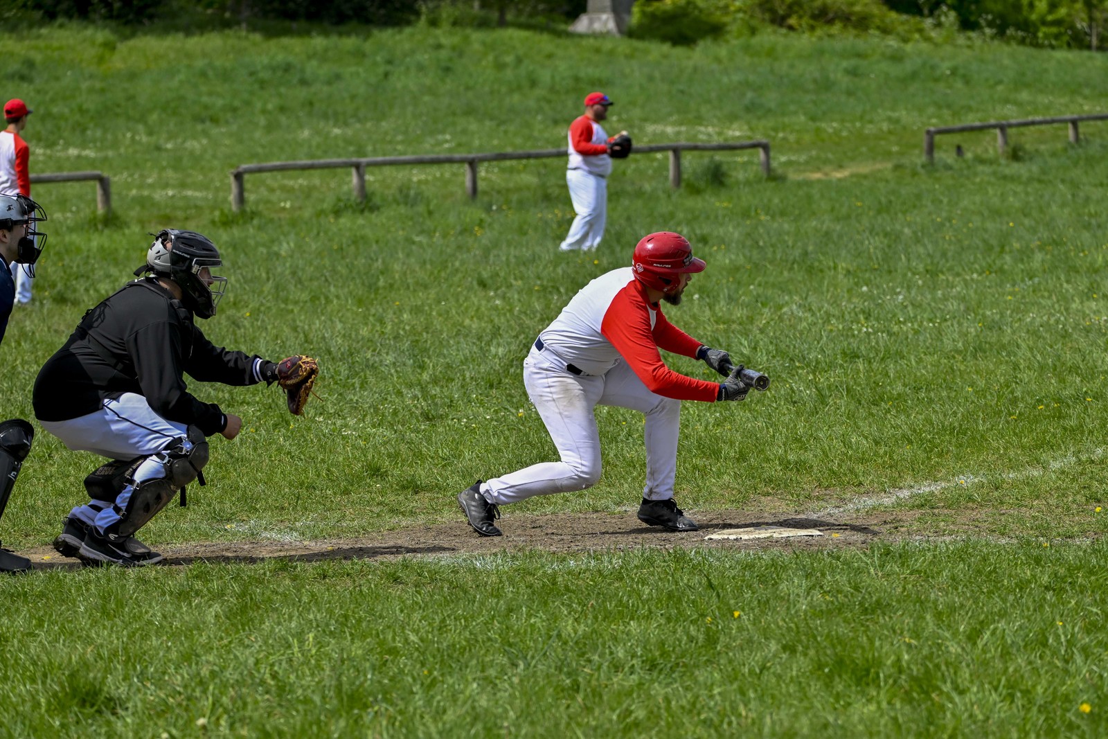 photo de sport base ball