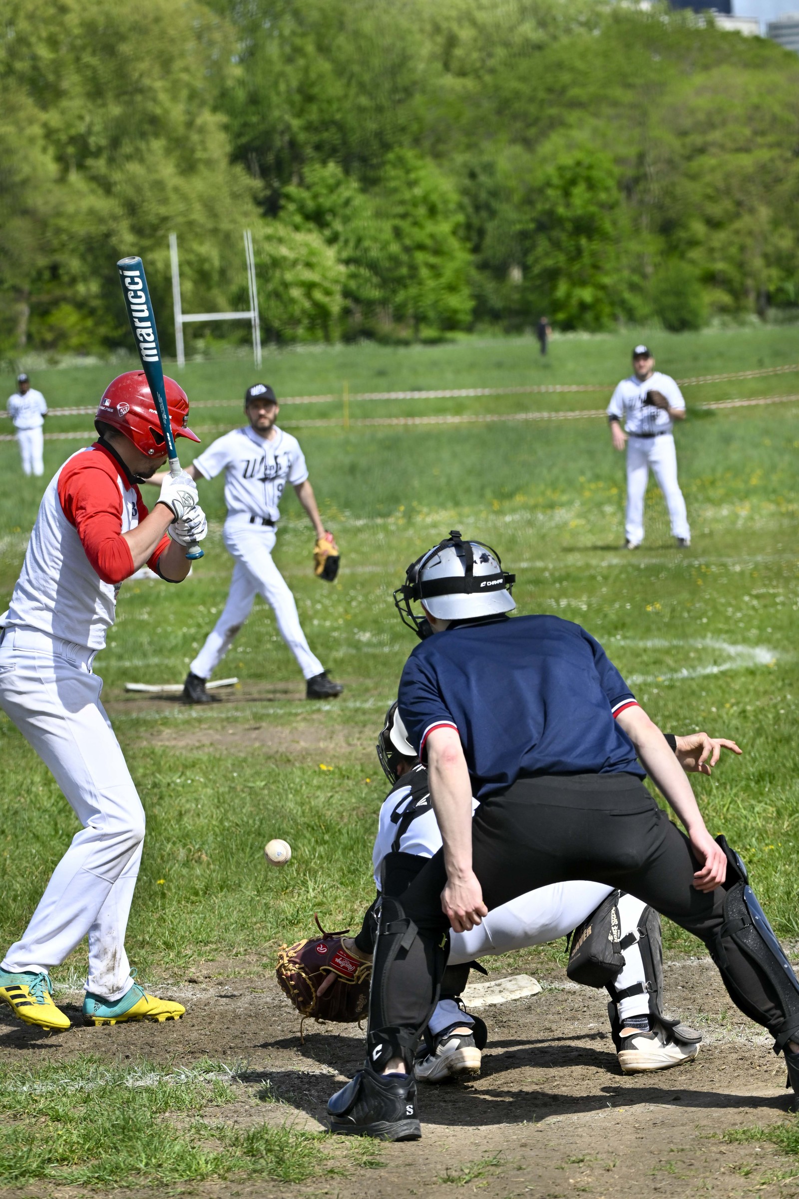 photo de sport base ball