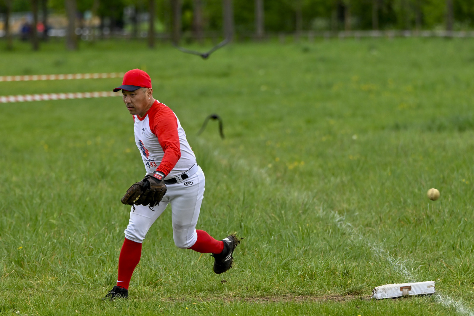 photo de sport base ball
