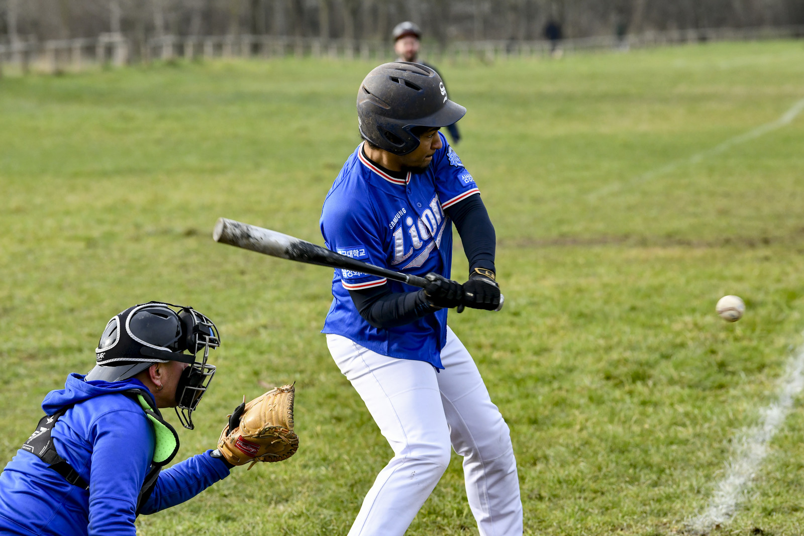 photographie realiser sur le terrain de Bagatelle