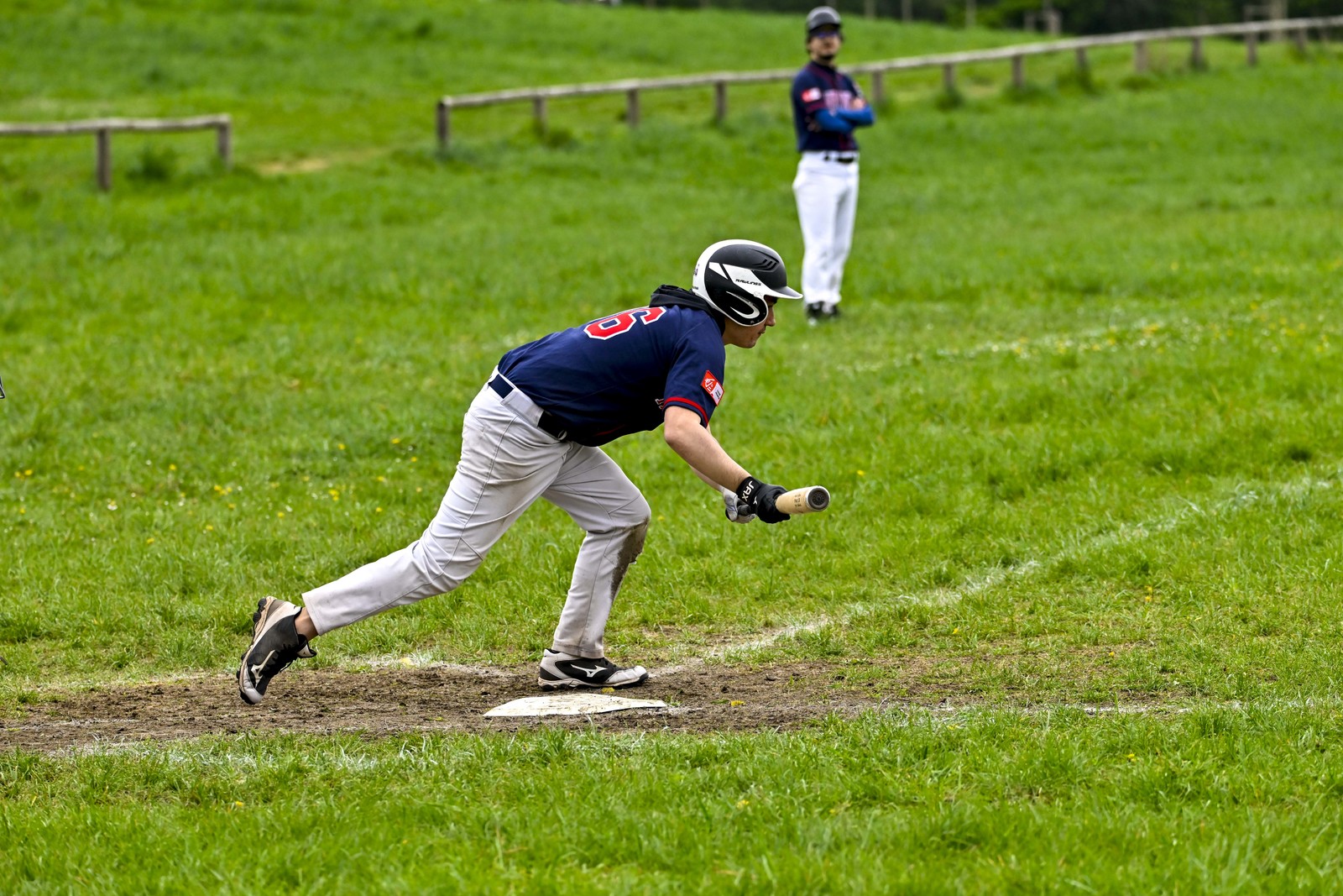 photo base ball
