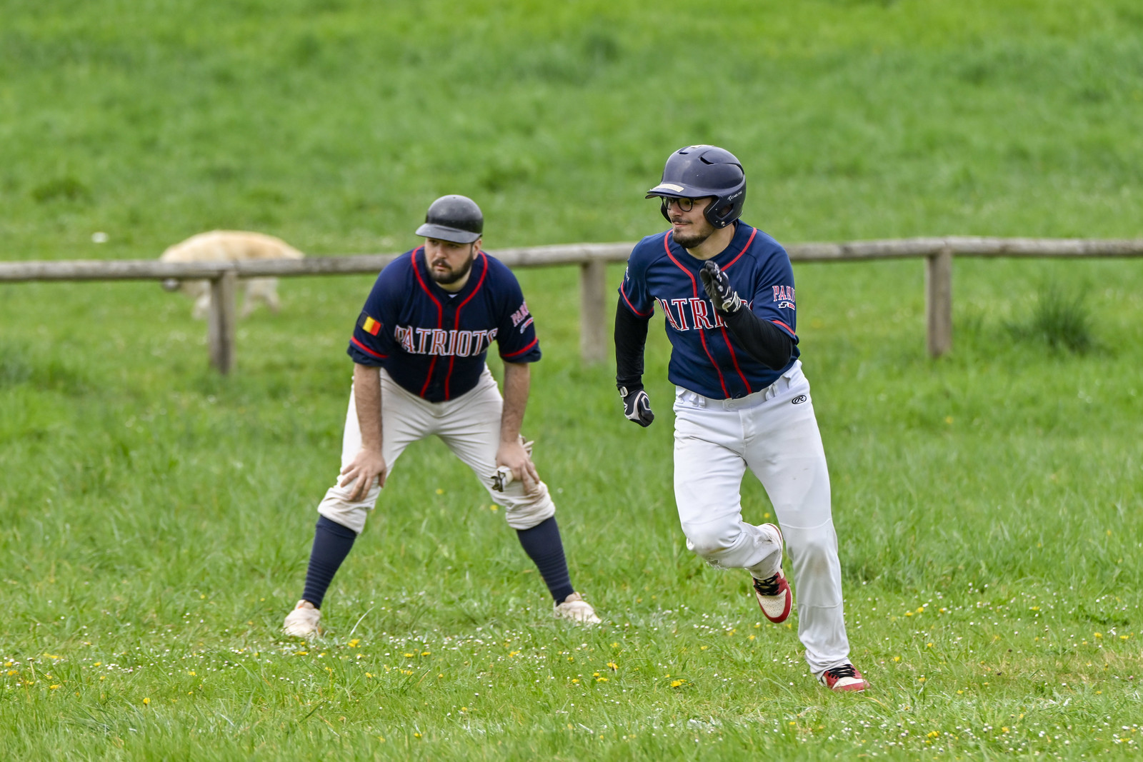 photo base ball