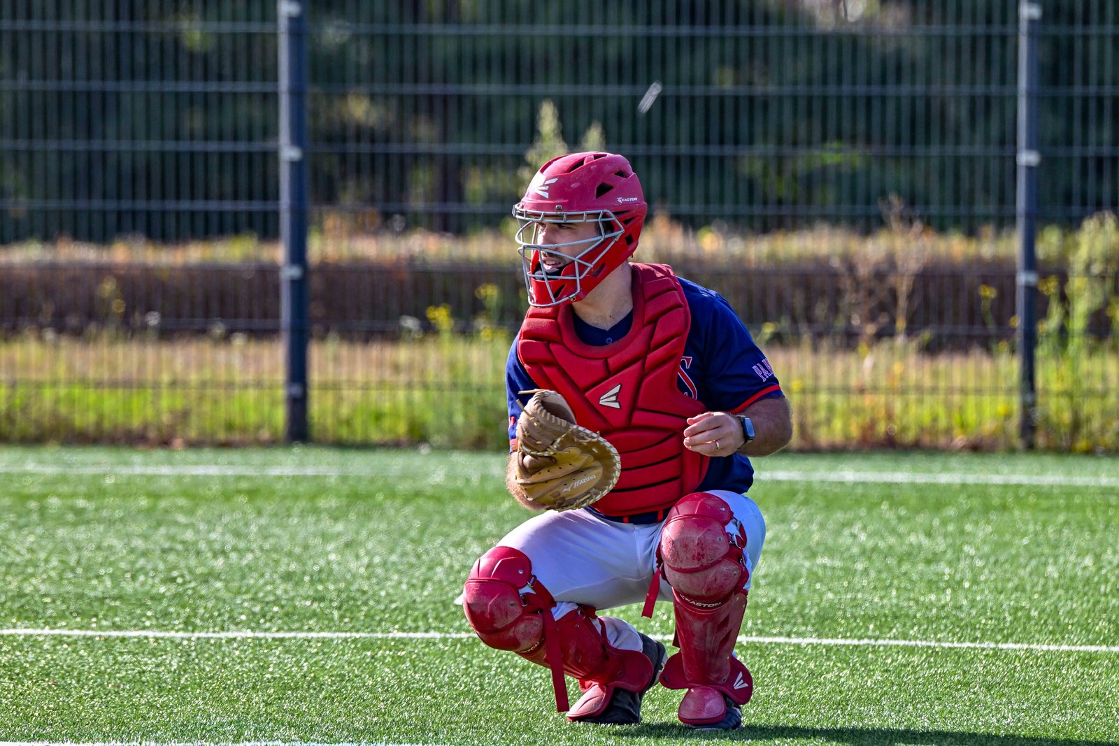 photo baseball