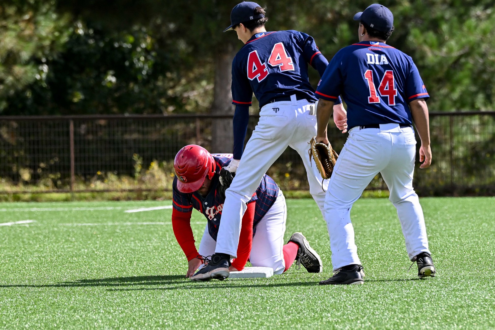 DSC_1214.jpg