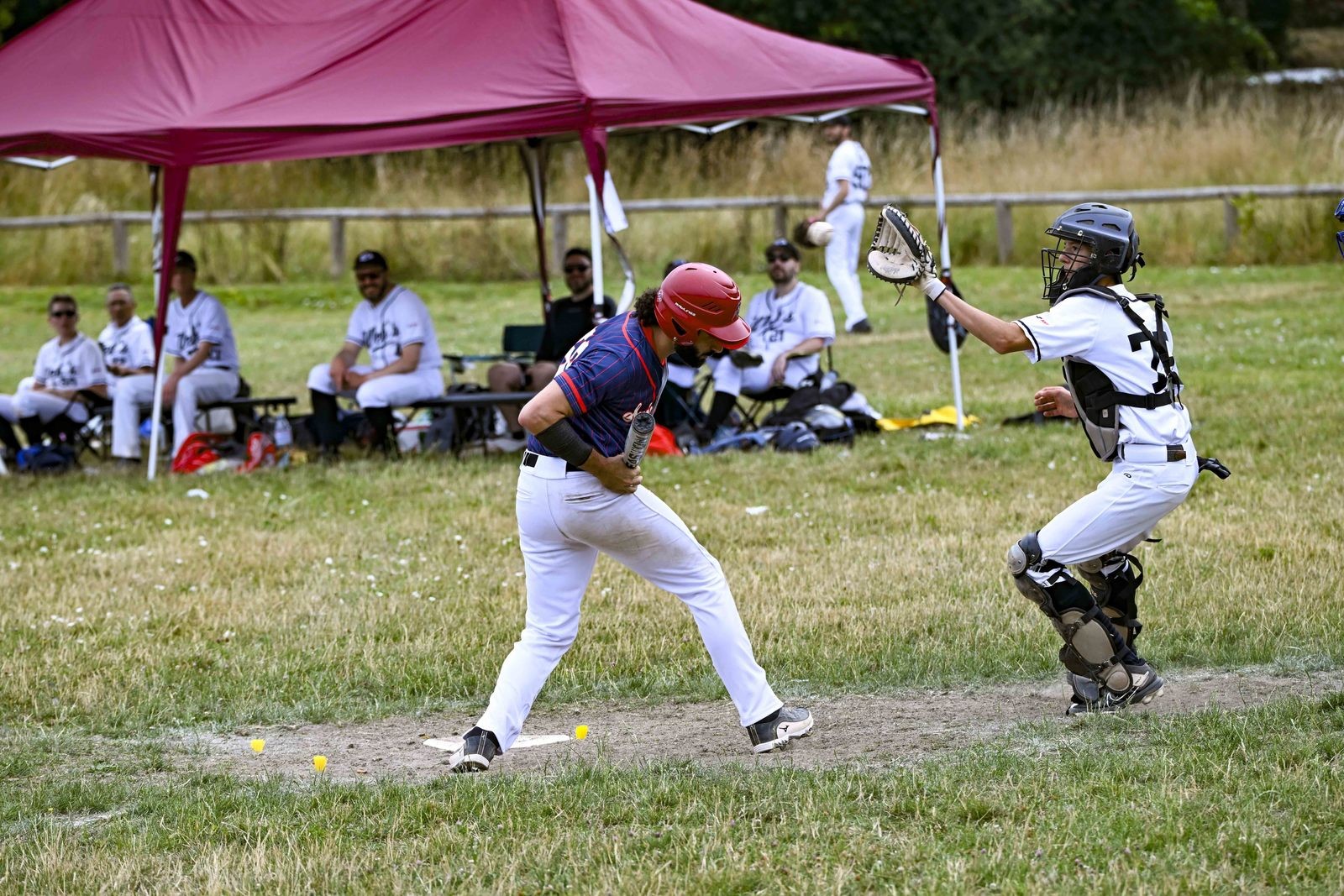DSC_0988.jpg
