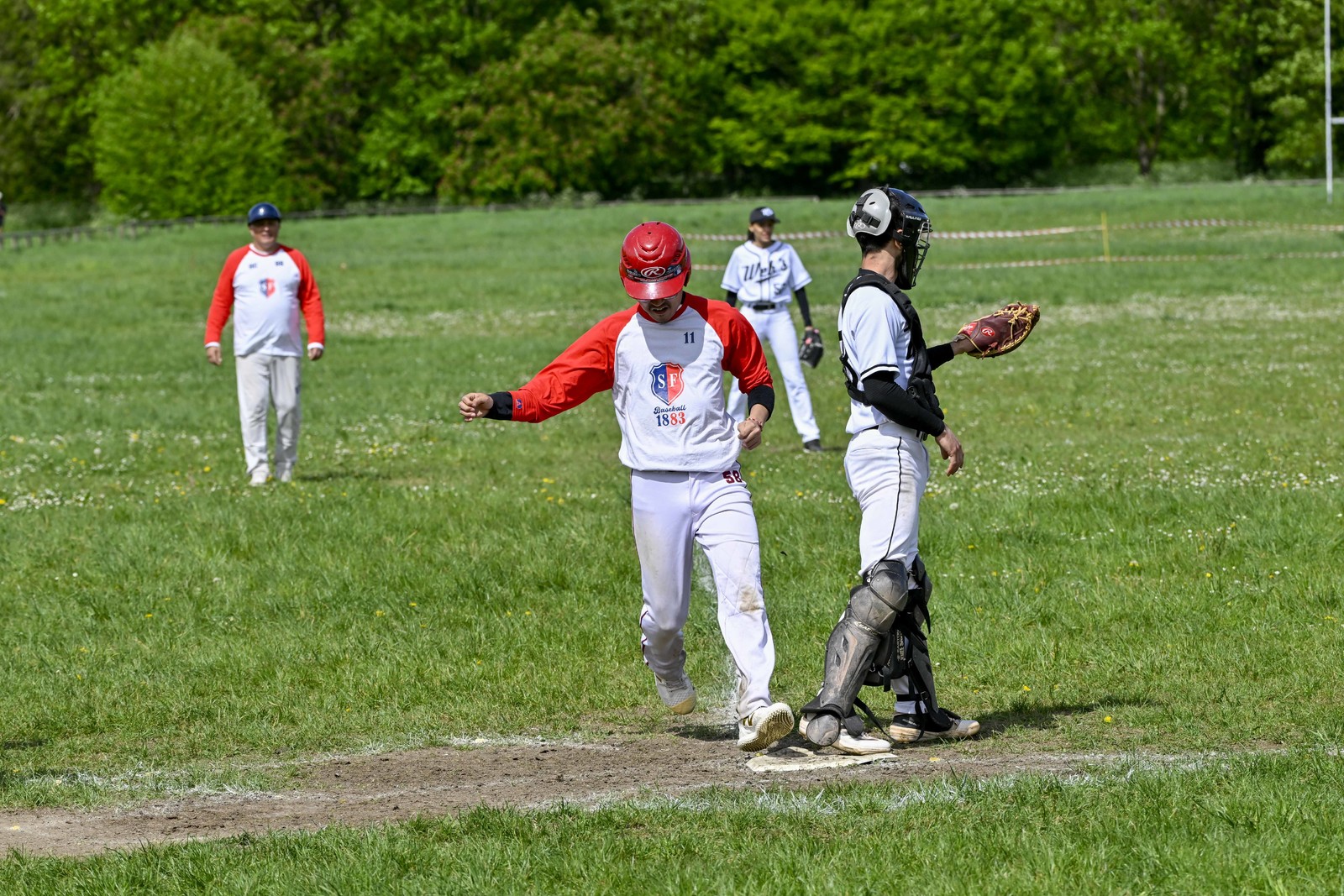 photo de sport base ball