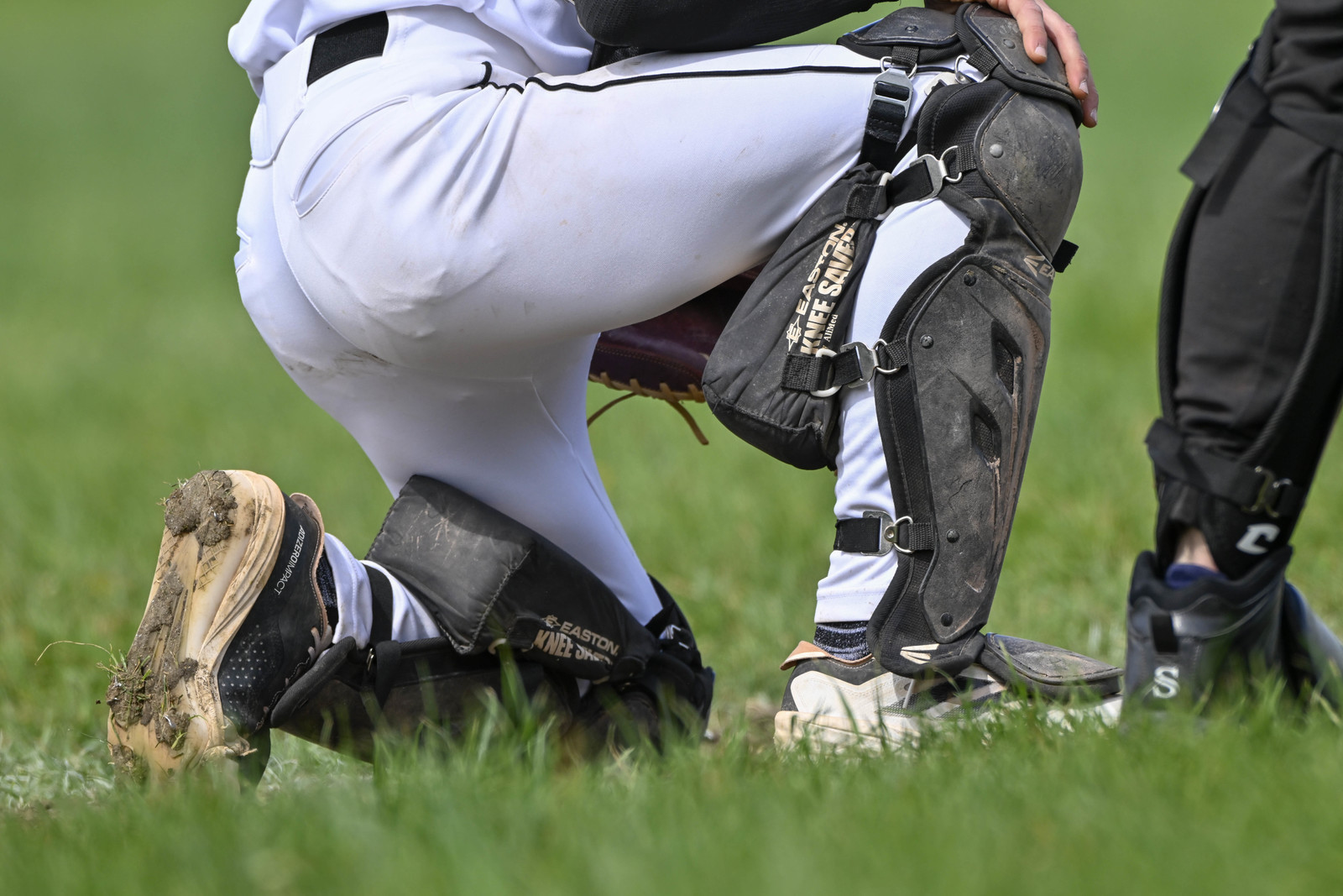 photo de sport base ball