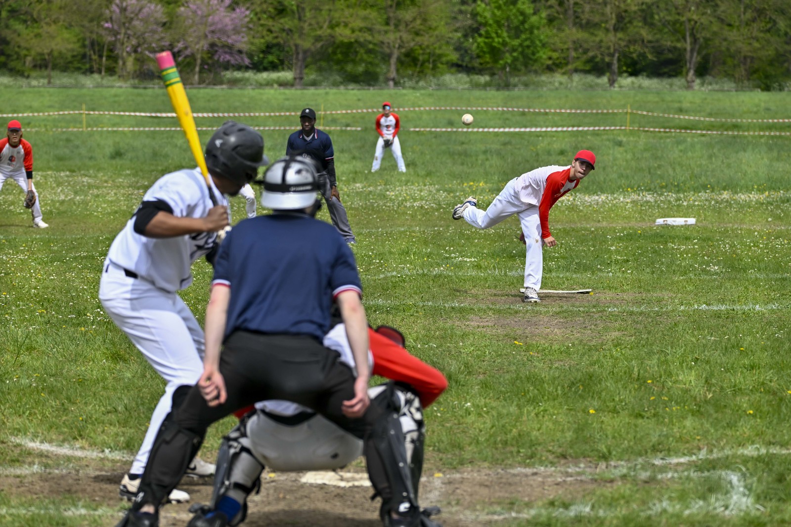 photo de sport base ball