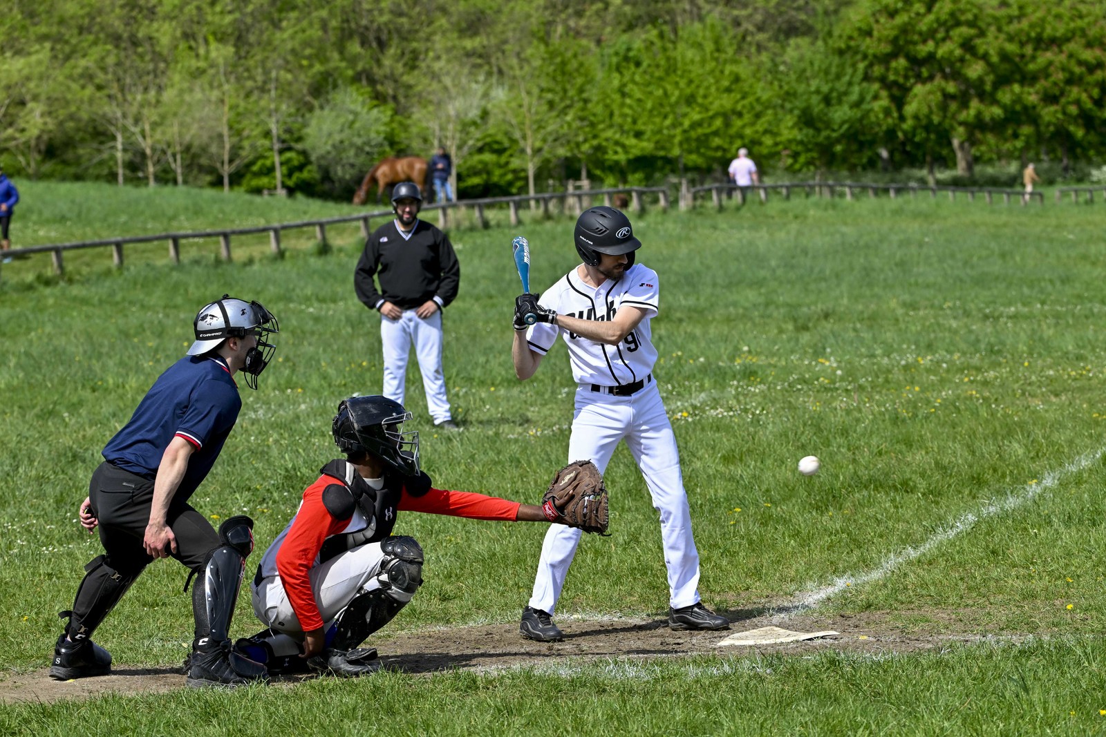photo de sport base ball