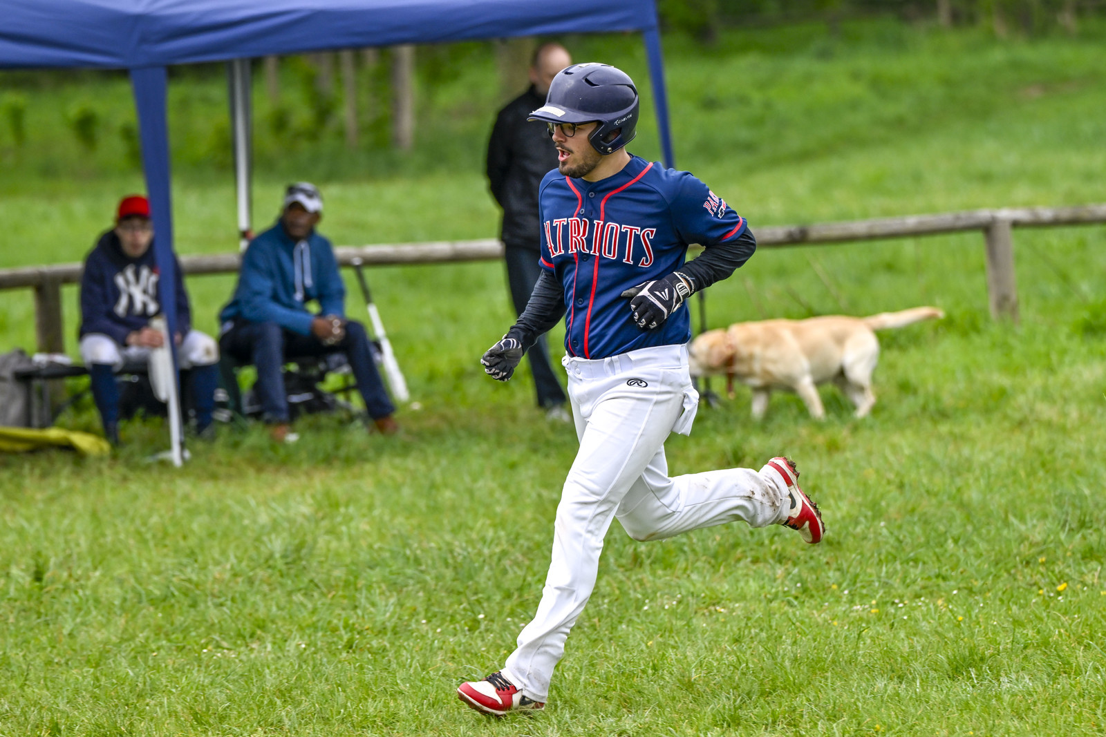 photo base ball