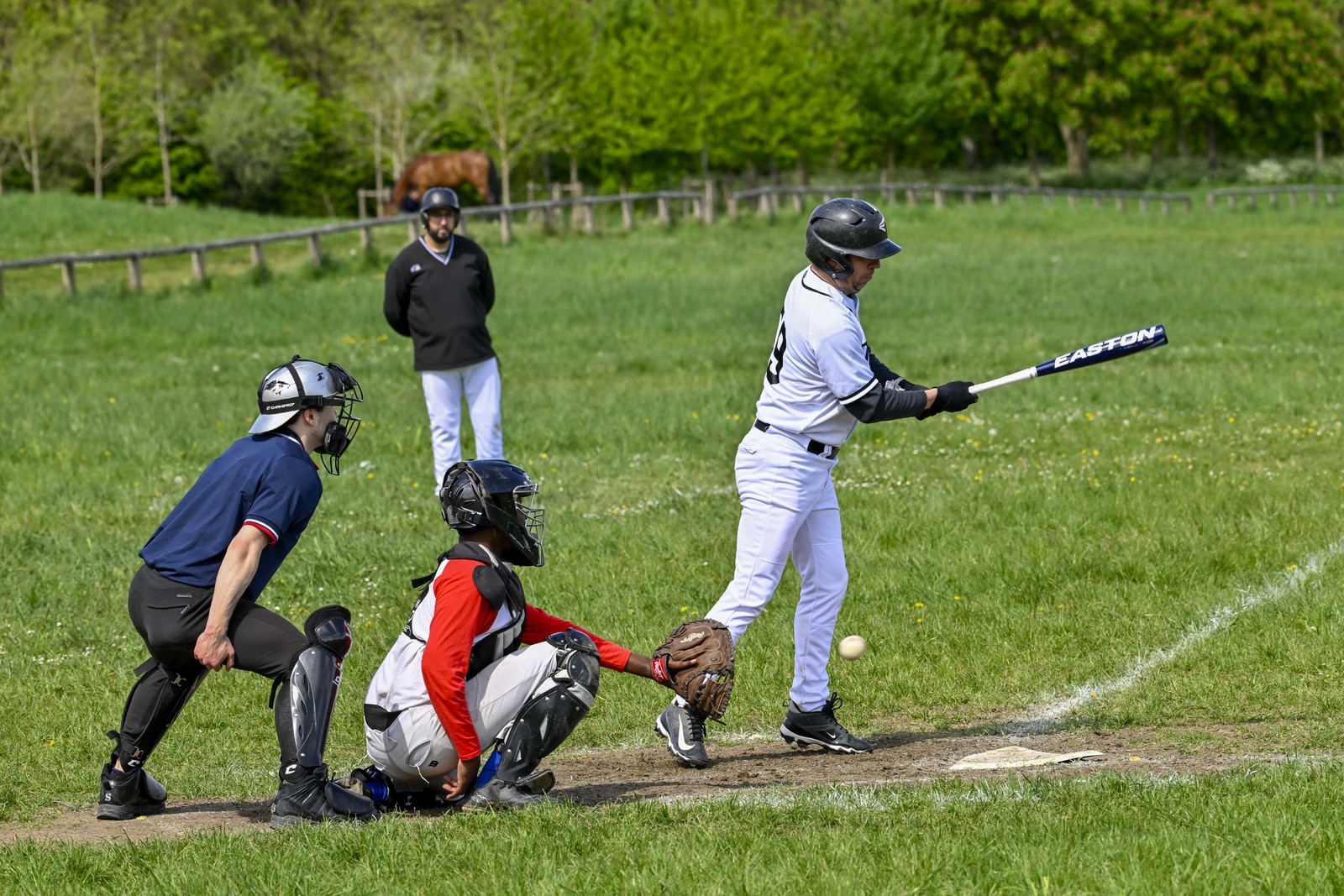 photo de sport base ball