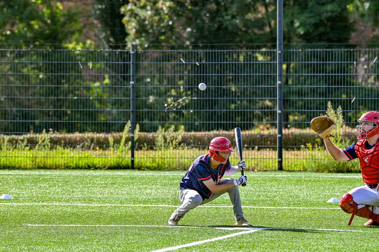 photo baseball