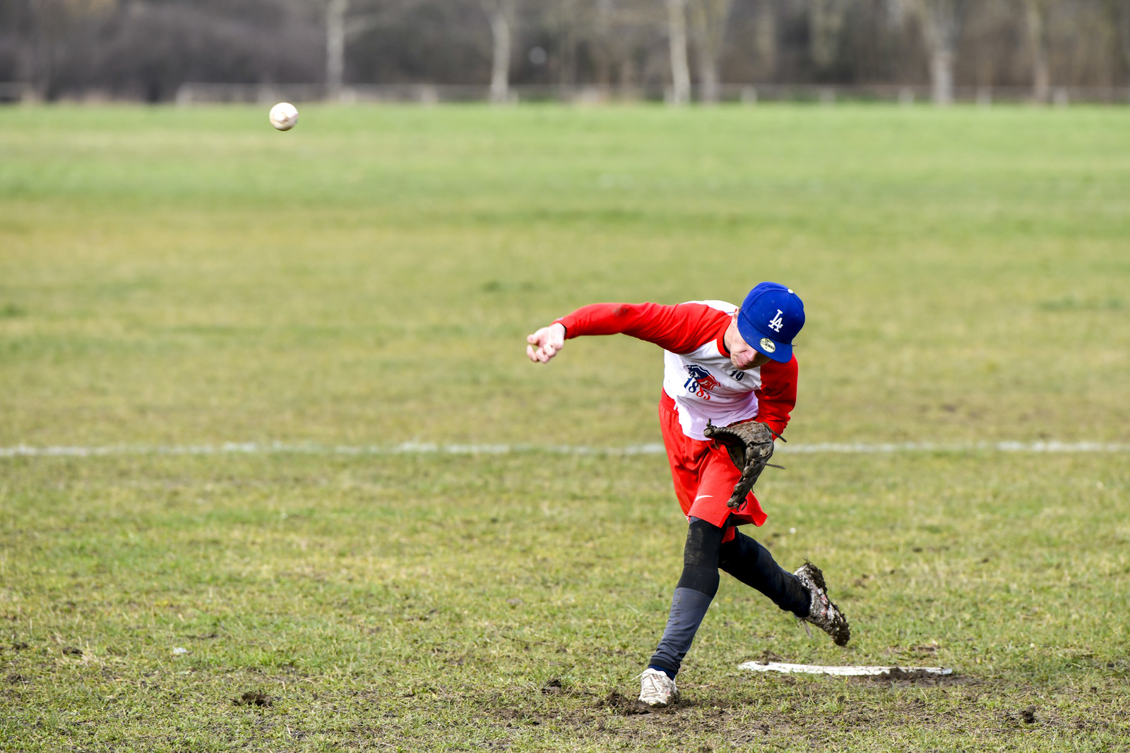 photographie realiser sur le terrain de Bagatelle