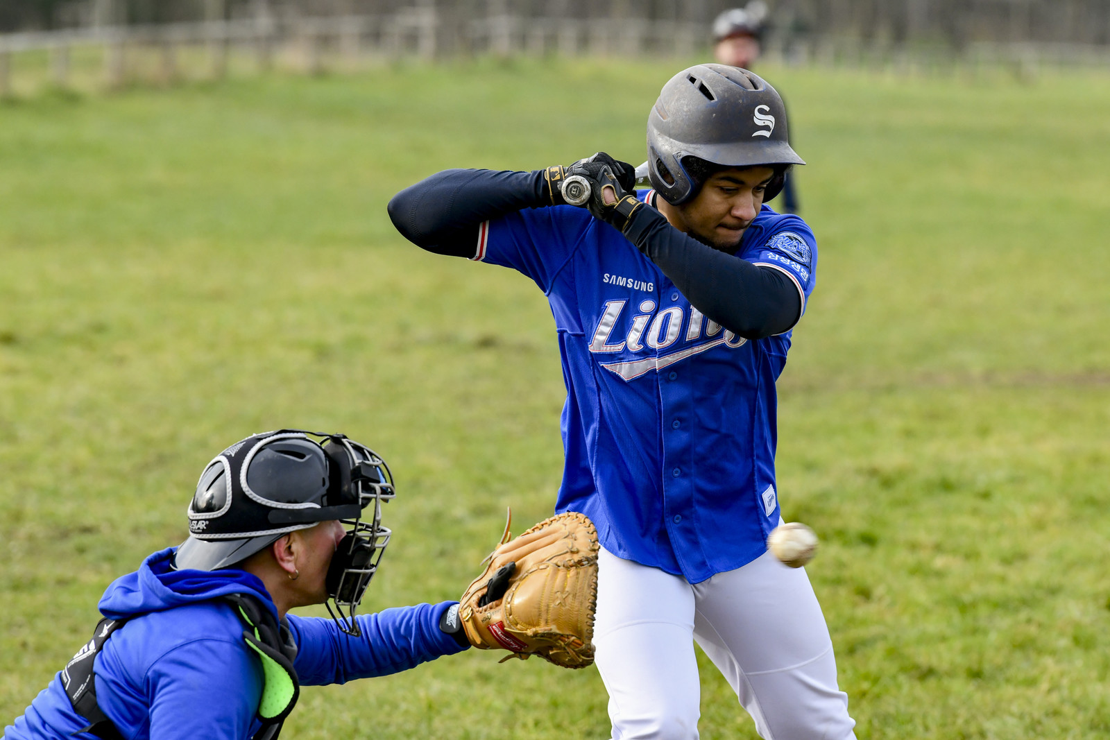 photographie realiser sur le terrain de Bagatelle