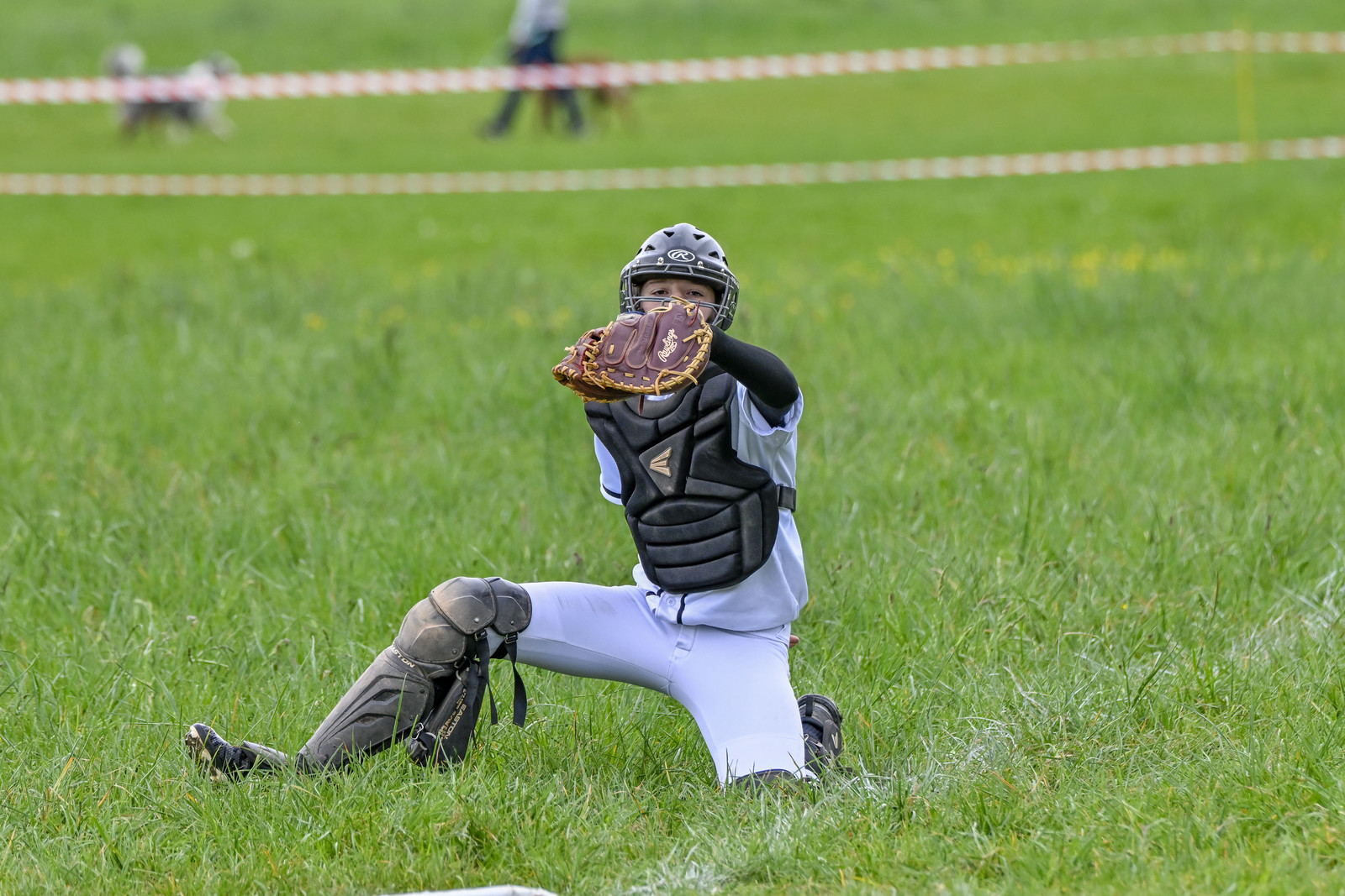 photo de sport base ball